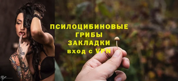 стаф Алзамай