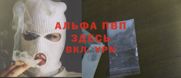 стаф Алзамай