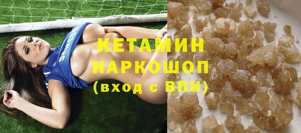 стаф Алзамай